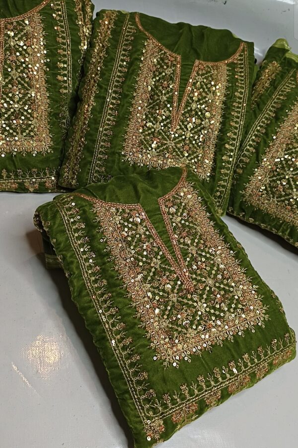Ethnic applic work  Velvet 3PC